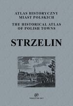 Strzelin. Atlas historyczny miast polskich, t. IV: Śląsk, z. 10 - okładka